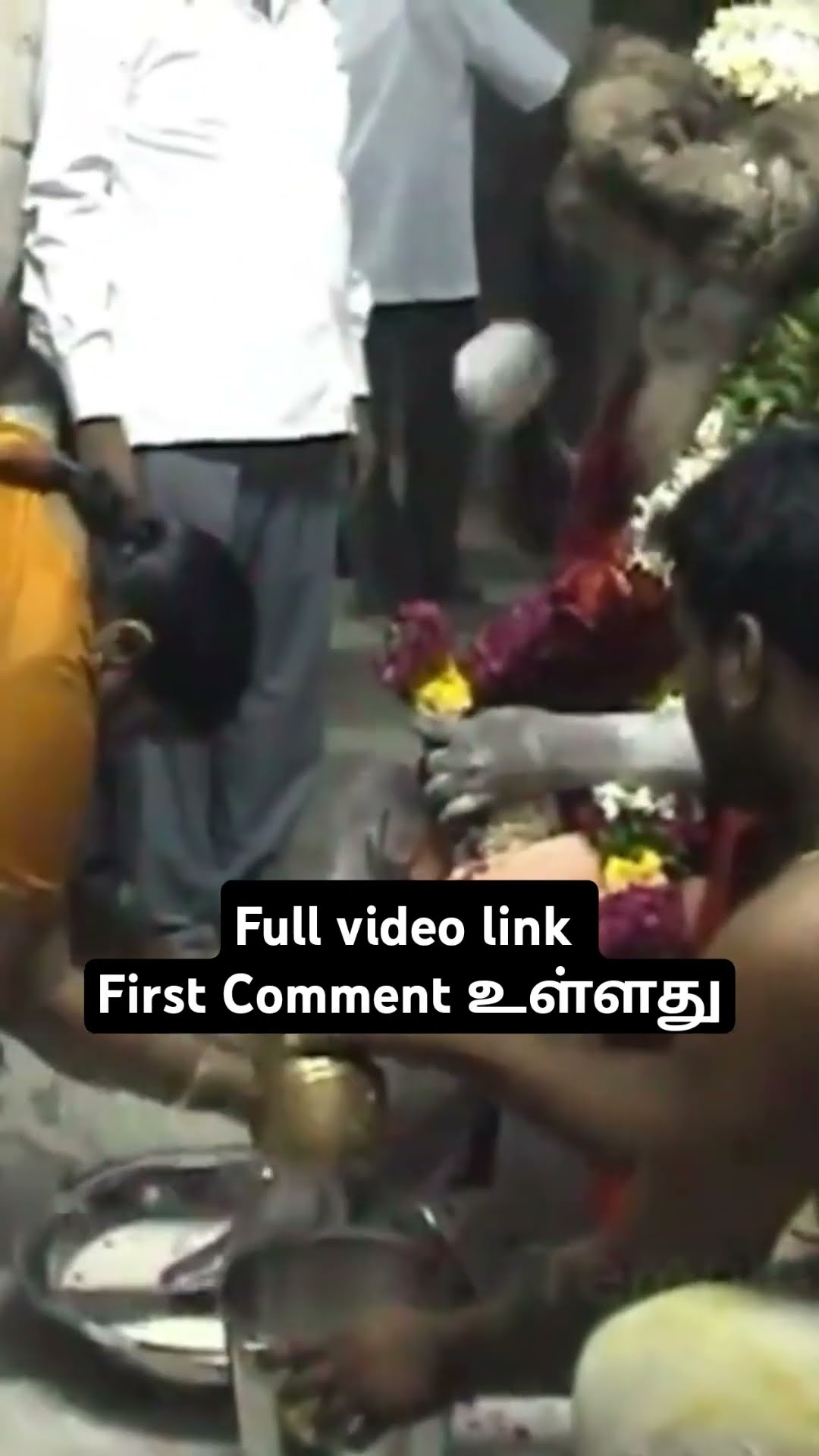 சித்தருக்கு பாலபிஷேகம் I முழு வீடியோ l முதல் கமெண்டில் உள்ளது